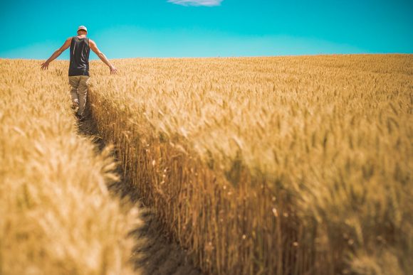 Entwurzelt!? Vom Überlebenskampf der deutschen Landwirtschaft Entwurzelt!? Vom Überlebenskampf der deutschen Landwirtschaft